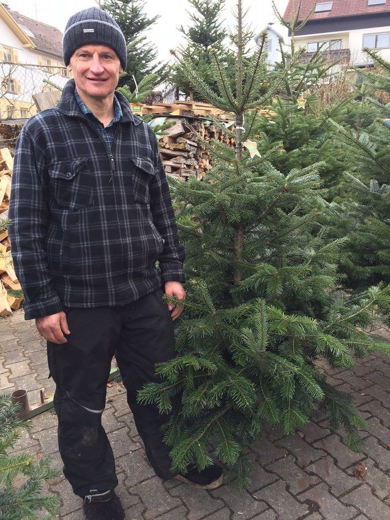 Gern im Weihnachtswald