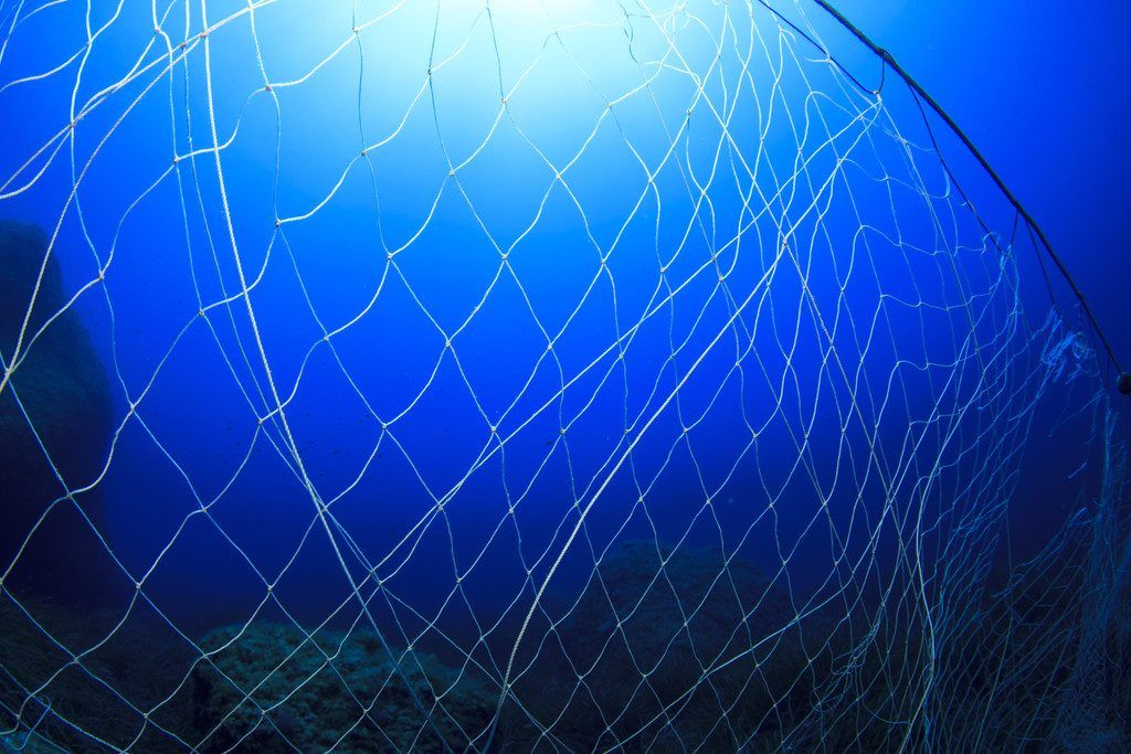 Arktische Tiefsee hat massives Müllproblem