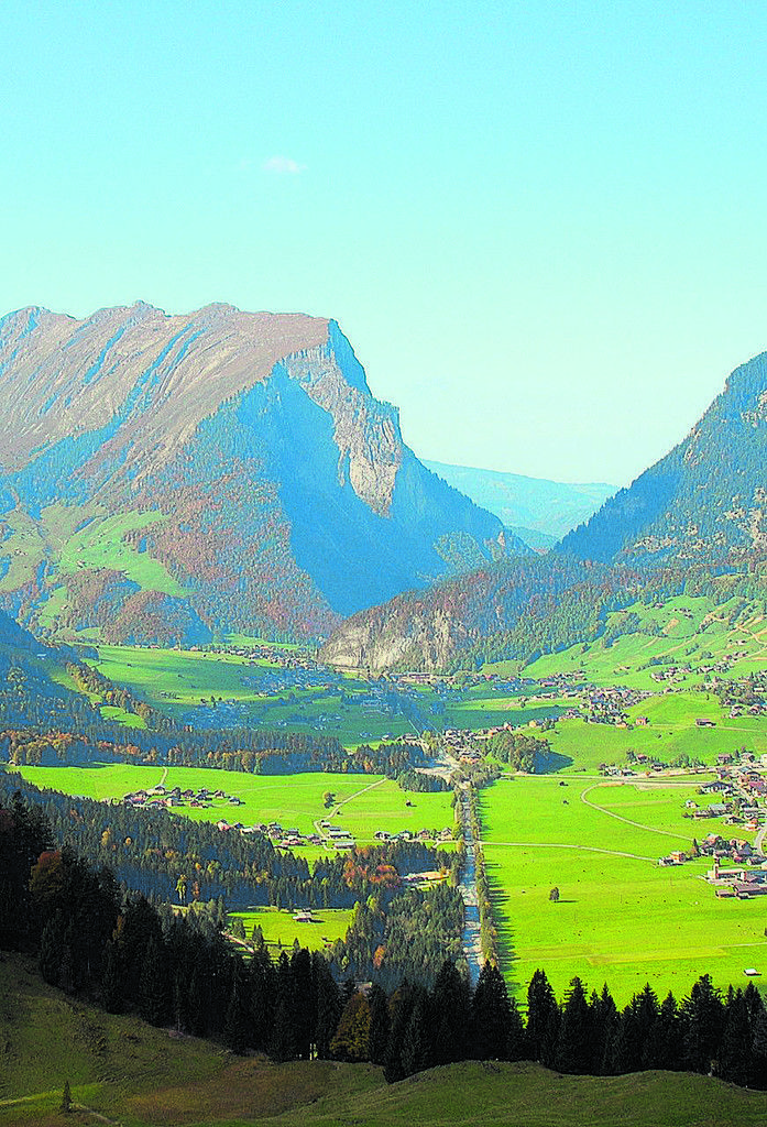 Herrliche Vorarlberger Landschaft: Das Grün in Feld und Wald bindet große Mengen an CO2. Foto: LK
