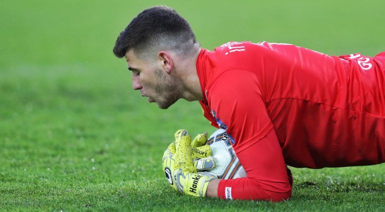 Hidajet Hankic soll kommende Saison für die Austria spielen. Foto: gepa