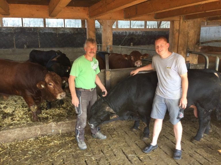 Hof Marte in Röthis
            Beruflicher Umgang. Als Stiermäster ist Familie Karlheinz Marte viel Fläche mit Tiefstreu für ihre handzahmen Bullen wichtig.