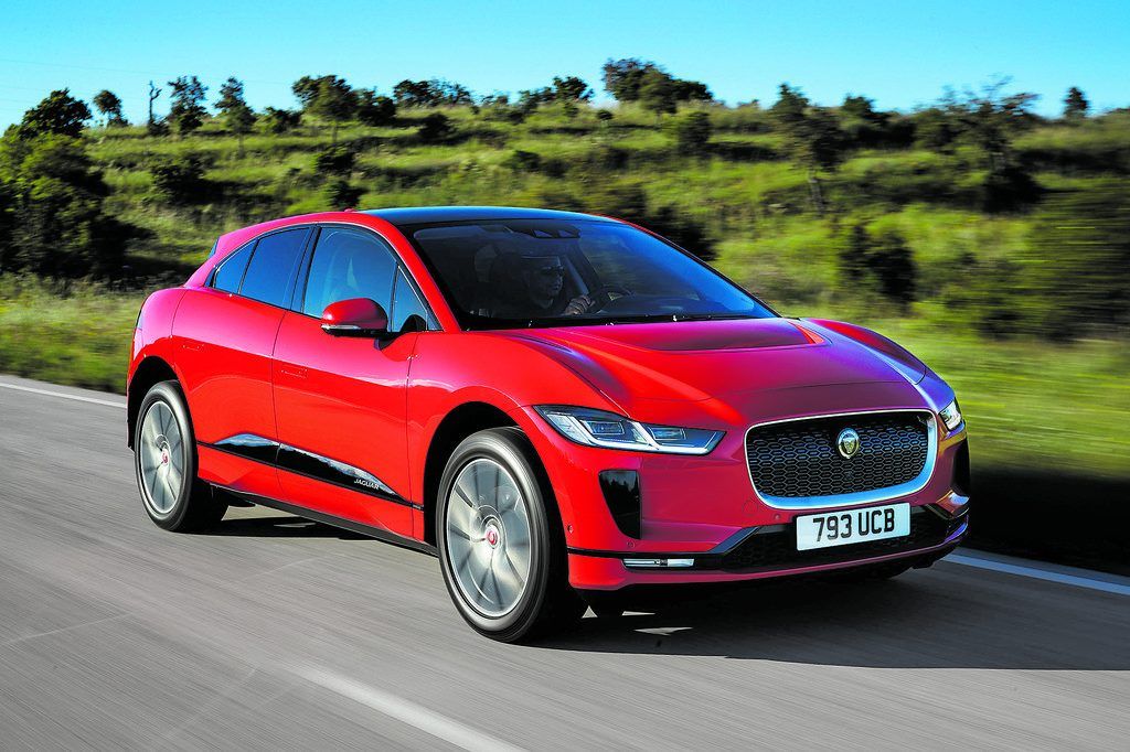 Steirisch schnurrt die Säuselkatze