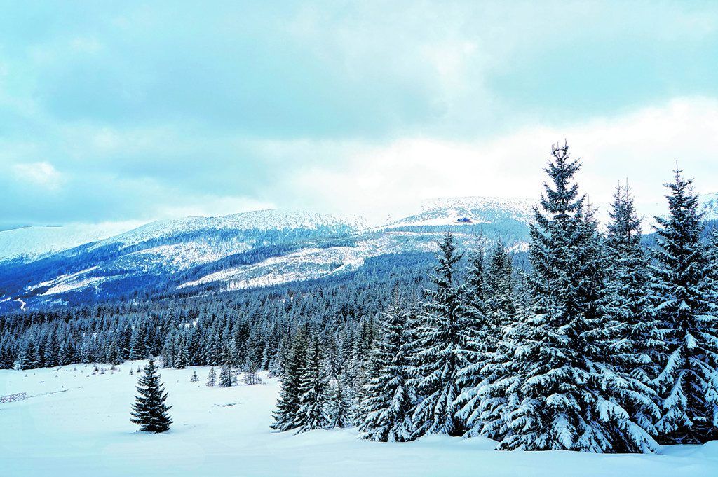 Skifahren im Riesengebirge