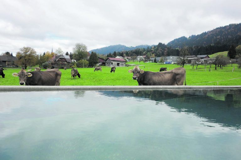 Im Sommer kommen die auf der Wiese des Nachbarn weidenden Kühe bis an den Pool von Angelika Brandner heran. Er ist, wie die Innenwände des Hauses, aus Sicht-beton gebaut und fein geschliffen.