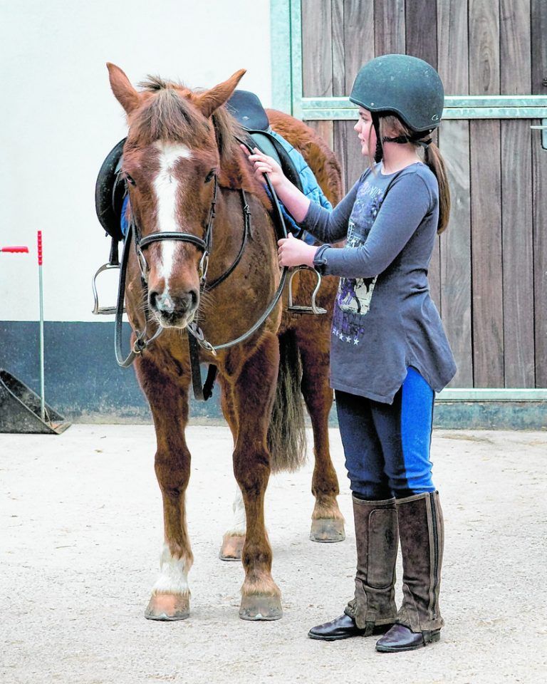 Im zum Schloss gehörenden Reitstall werden Ausritte und Reitstunden angeboten.