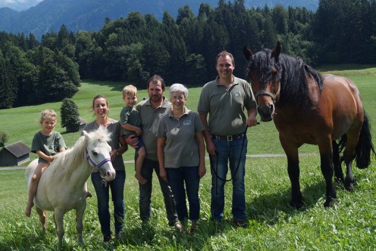 Inafärahof Schnifis
            Beruflicher Umgang: Familie Nigg hat in ihrem Heuchmilchbetrieb auch fünf Pferde, die z. B. bei der Kartoffelernte helfen.