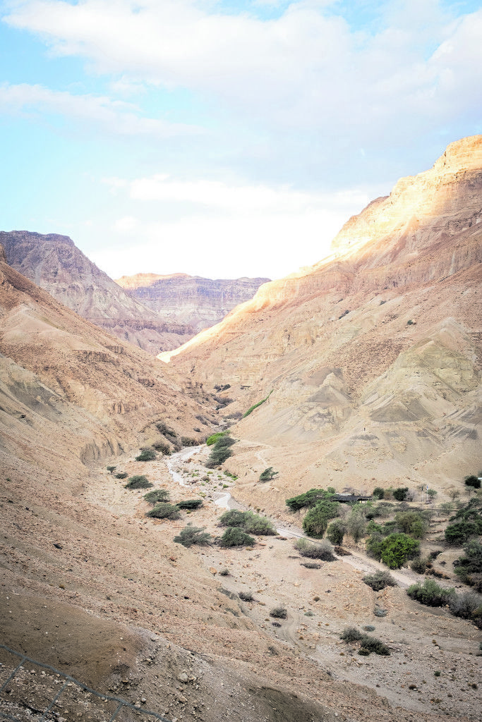Inmitten dieser kargen Landschaft der Negev-Wüste entstand im Kibbuz Ein Gedi ein riesiger botanischer Garten. Beate Rhomberg (5)