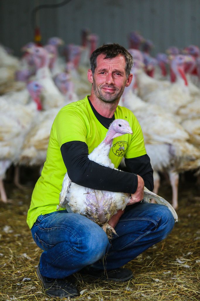 Klaus Flatz und seine Puten. Die Dinge haben sich im Betrieb der Harder Familie wieder zum Guten gewendet.VN/Steurer
