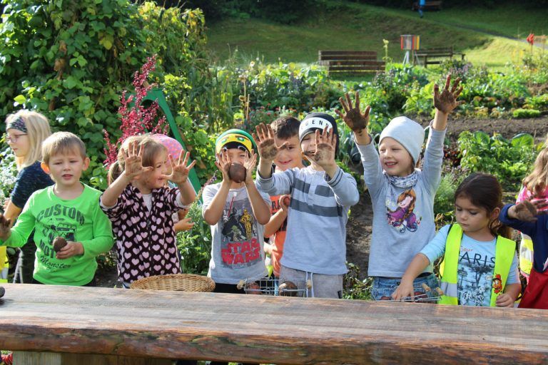 Kleine Selbstversorger am Werk: die Kinder des Kindergartens Bezau bei der Kartoffelernte.
              
              kindergarten bezau/astrid kaufmann