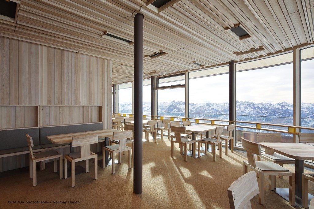 Braunkernesche für das Nebelhorn