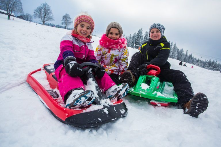 Madeleine, Lorin und David (v. l.) reichen schon fünf Zentimeter für eine rasante Bobfahrt.  Foto: VN/Steurer