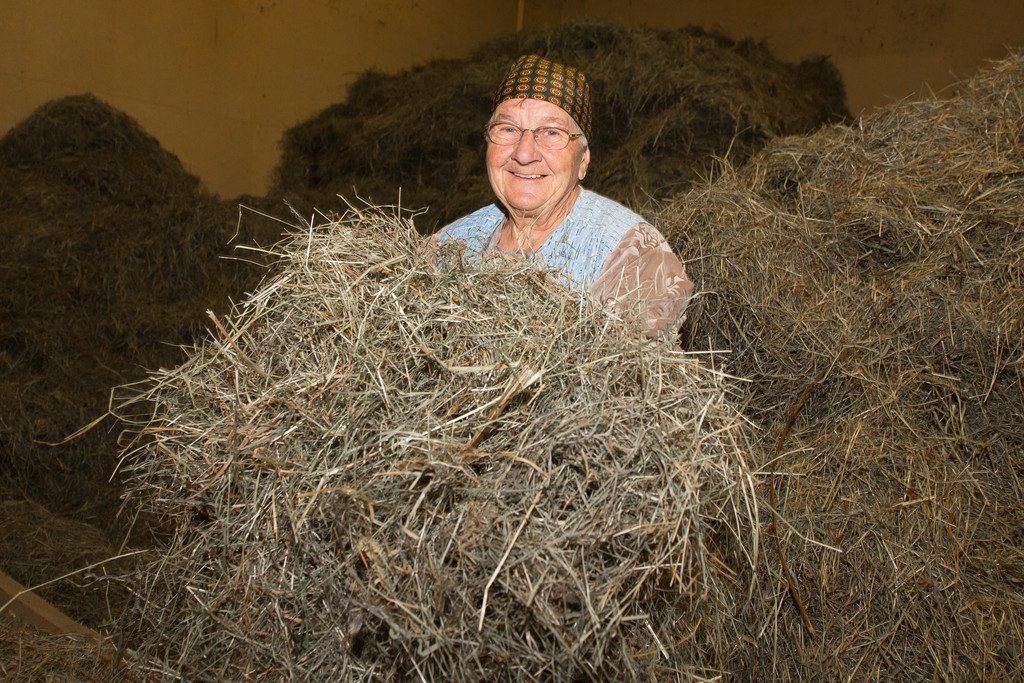Ein hartes Bauernleben