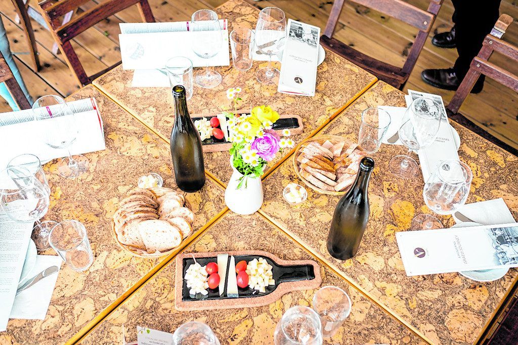 Wein und Käse auf dem Vitkin-Weingut