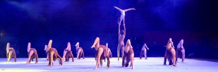 Novus mit ihrer Show „Inceptus“ bei der Gymnaestrada-Gala 2015. Foto: Lerch
