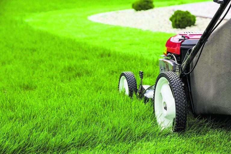 Ob mit Motor, Akku, als Roboter oder Traktor – vor allem die Größe des Grundstücks ist entscheidend für die Wahl des passenden Rasenmähers.