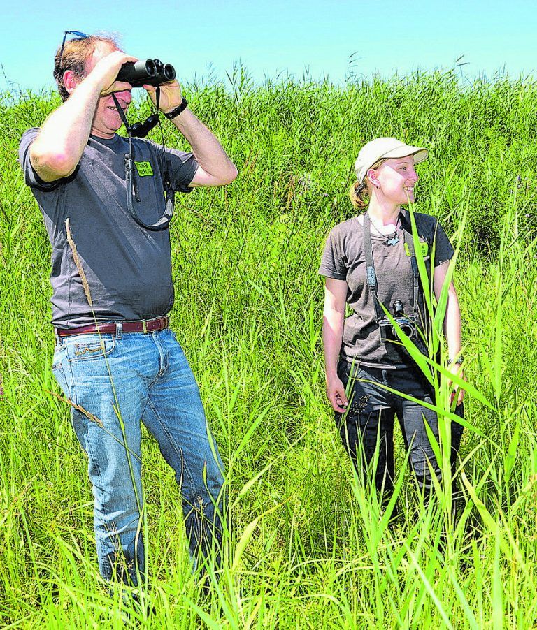 Projekt „Naturvielfalt in der Gemeinde“ für mehr naturnahe Flächen. VLK/W. Micheli