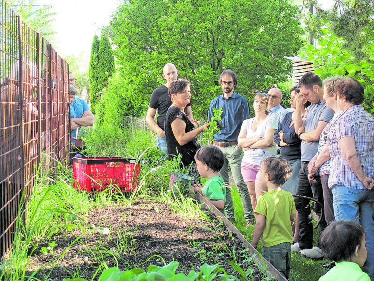 Renate Moosbrugger referierte zur Nutzung von Hochbeeten. Foto: ATRIUM