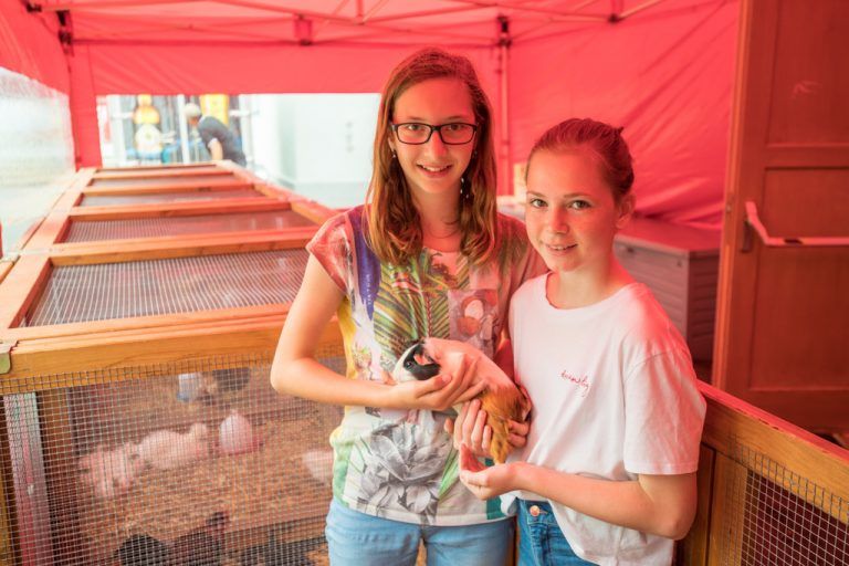 Saskia und Sophia (v. l.) haben einen Freund gefunden.  Fotos: VN/Sams