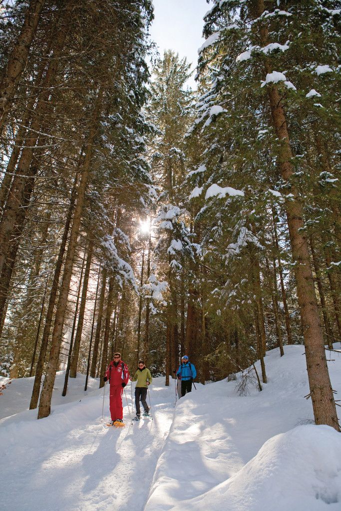 SchneeschuhwanderungAuf der dreieinhalbstündigen Schneeschuhtour durch die Genussregion Kleinwalsertal steht statt der körperlichen Anstrengung das Erleben mit allen Sinnen im Vordergrund. Auch heimische Produkte werden verkostet.