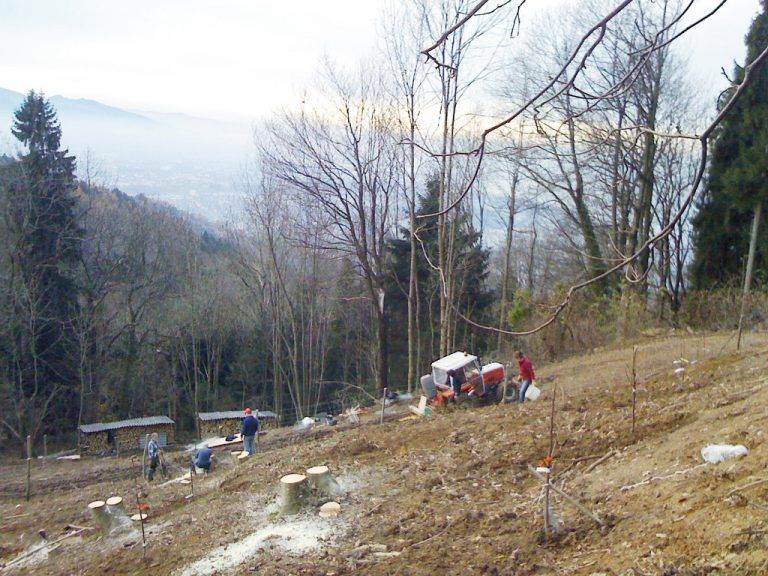 „Unser Wald wird nicht nur gehegt und gepflegt, ich darf auch jagen, habe den Überblick über den Wildbestand und Rehragout auf der Speisekarte.“