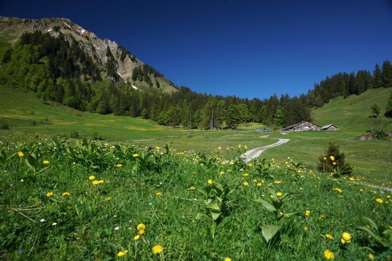 Unsere herrlichen Vorarlberger Naturlandschaften sollen für alle Menschen mit der nötigen Wertschätzung sichtbar und erlebbar sein.