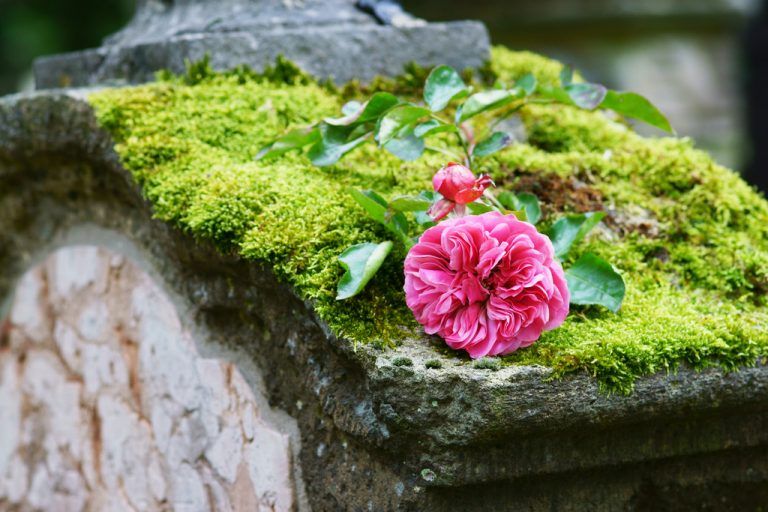 Vor allem Frauen beschäftigen sich mit den finanziellen Risiken im Todesfall.Fotolia