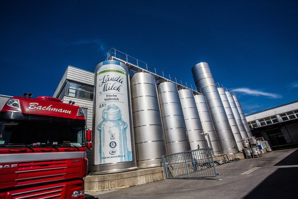 Der Milchpreis ist nun wieder erste Sahne