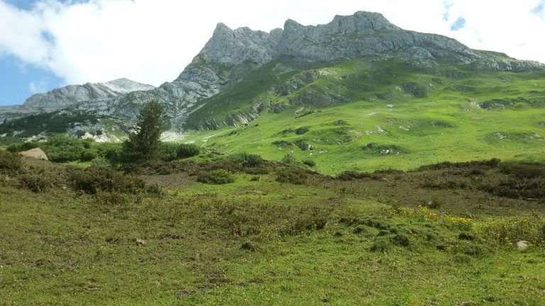 Jaucheausbringung bei der Alpe Dalaaser Staffel.