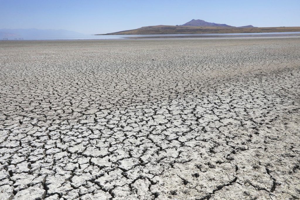 Klimavolksbegehren liegt zum Unterzeichnen auf