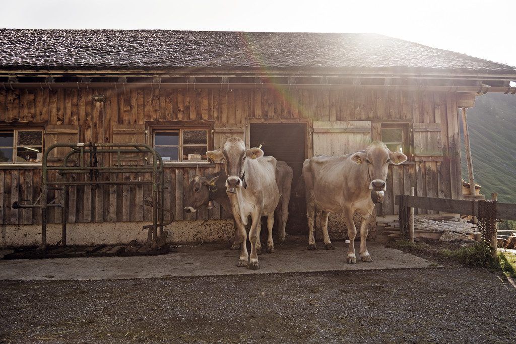 Kritik an der Steuerung der Landwirtschaftskammer