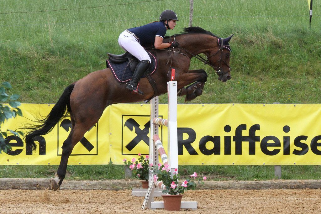 21. Sommerspringturnier  im Bregenzerwald