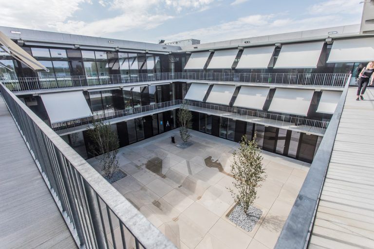 Die Fachjury wählte die neue Schule am See in Hard auf die Shortlist, weil die Nachhaltigkeitsmaßnahmen überzeugen.VN/Steurer