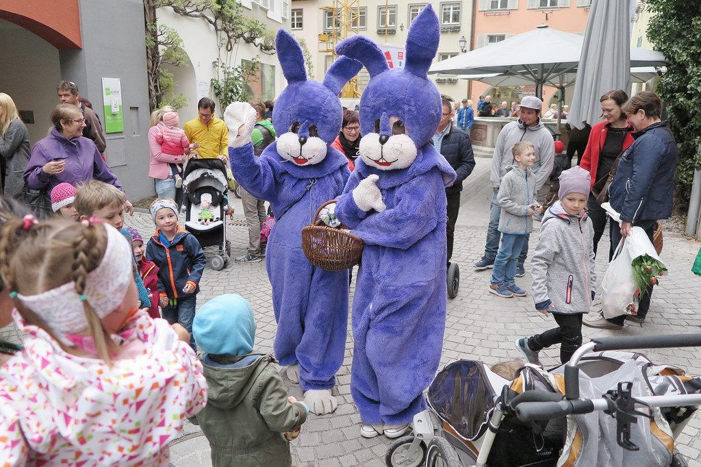 Osterhase auf Besuch