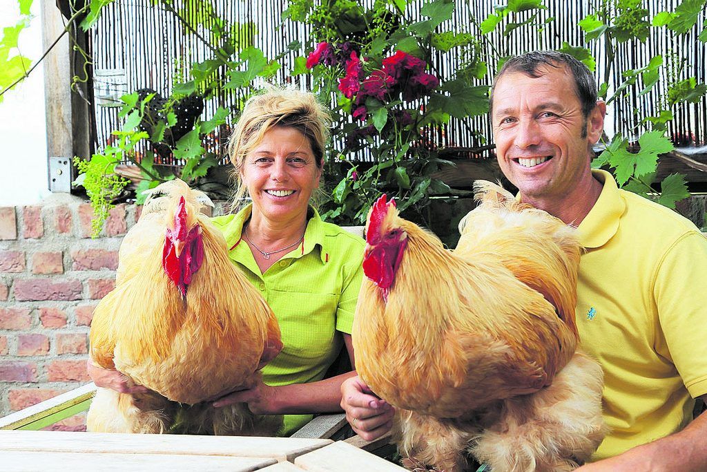 Erstaunt und beeindruckt