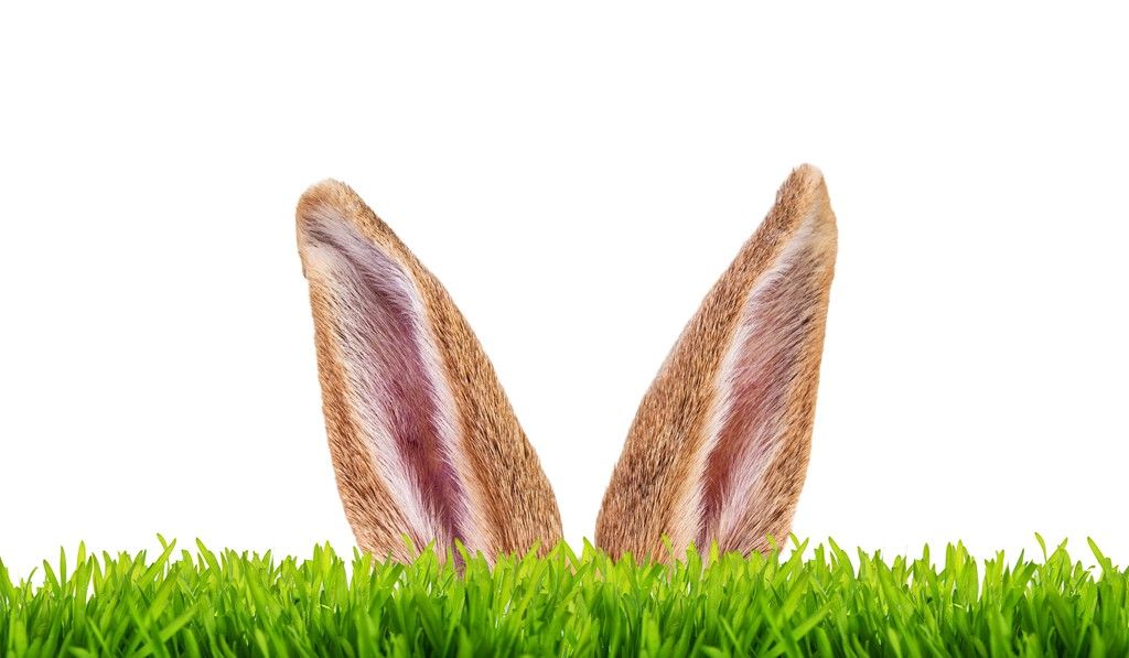 Vorarlberger Mundart. Rheintal - Vorarlberger Nachrichten | VN.at