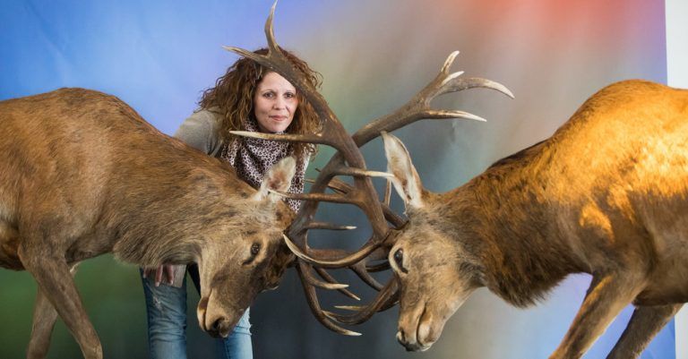Ausstellung: SEXperten