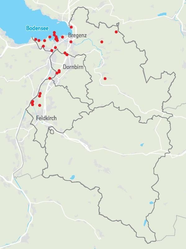 Vorarlberg wird zum Biber-Ländle