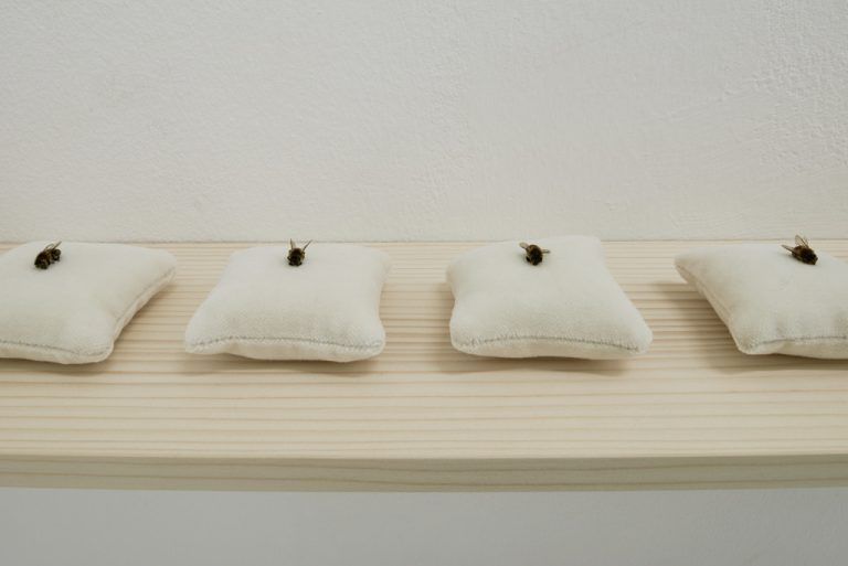 18 Uhr engländerbau, vaduz