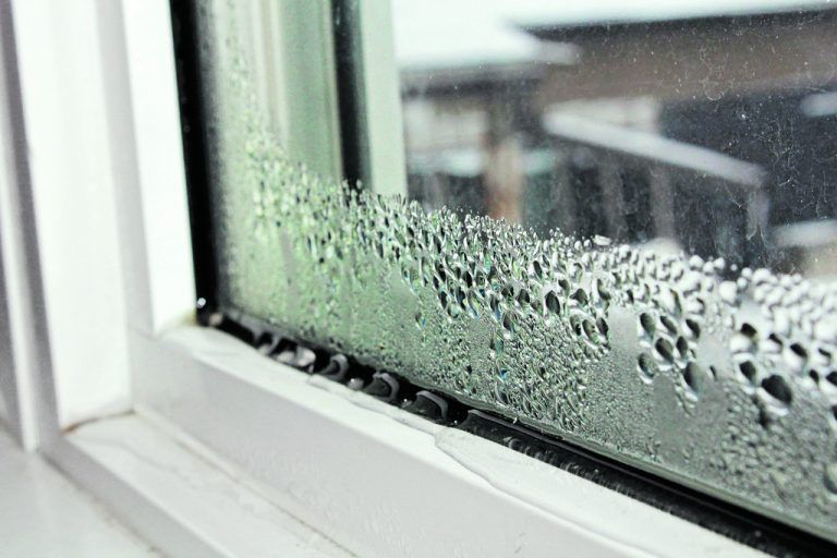 Luftentfeuchter können helfen, wenn die Handlüftung nicht mehr ausreicht.
