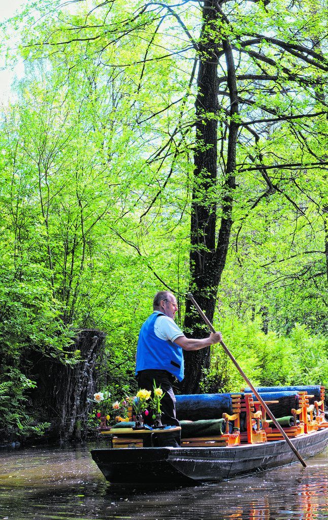 Fortsetzung der Geschichte Erholung im Spreewald von Seite G1