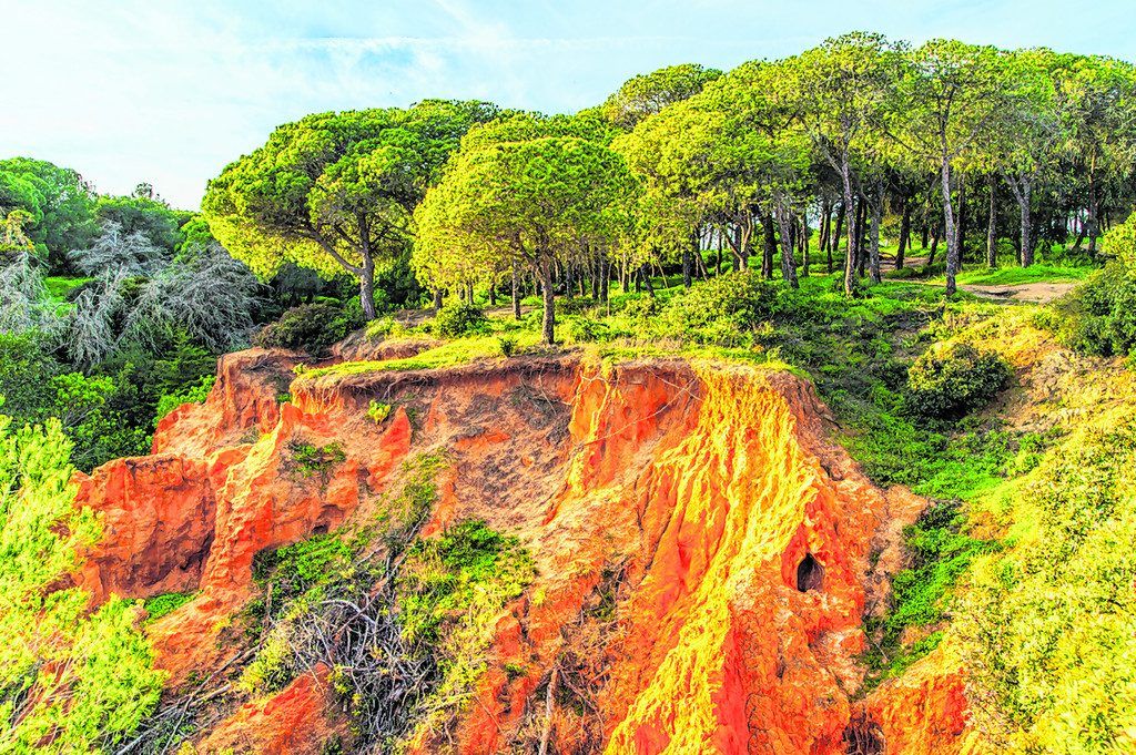Naturpark Ria Formosa