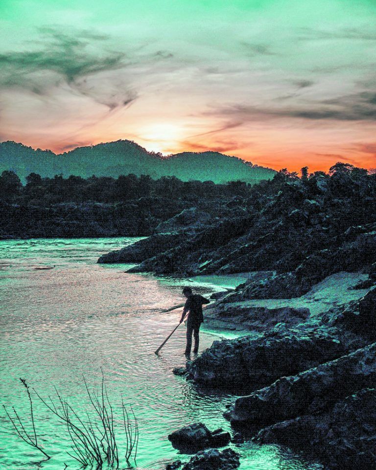 Über 1300 Fischarten leben im Mekong. Er zählt damit zu den fünf artenreichsten Flüssen der Welt.