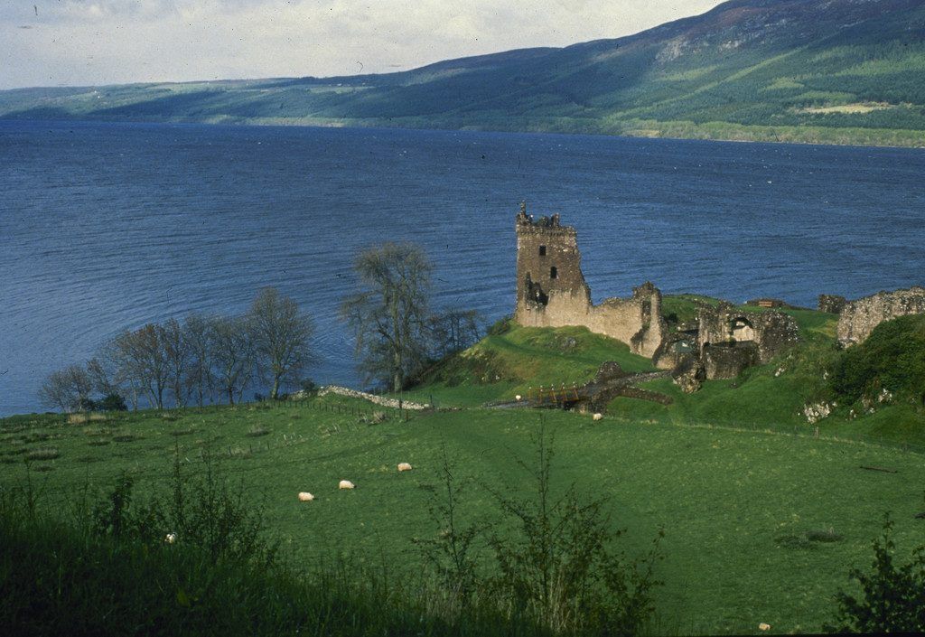 Forscher wollen alle in Loch Ness lebenden Wesen identifizieren