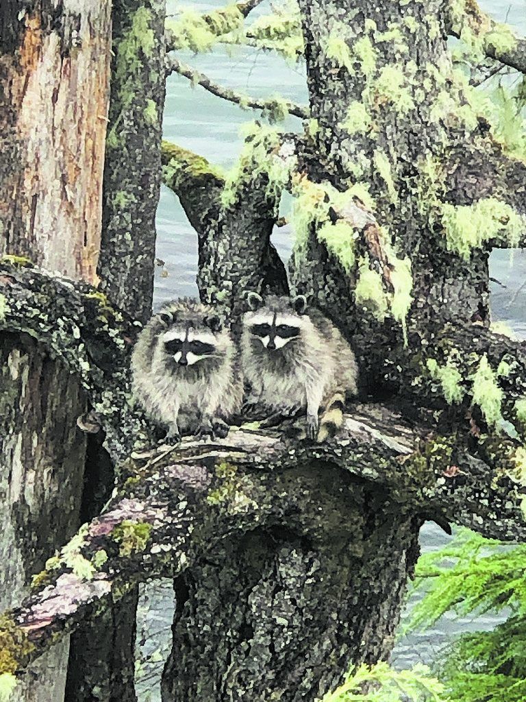 Auf Du und Du mit der Natur