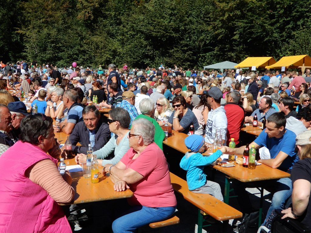 Großer Empfang für Dornbirns Älpler und ihr Vieh