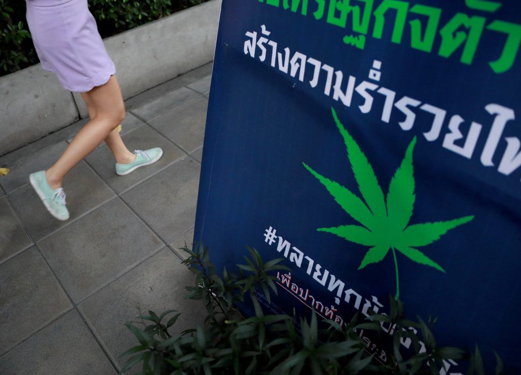 Lustenauer Unternehmer baut in Thailand Cannabis an