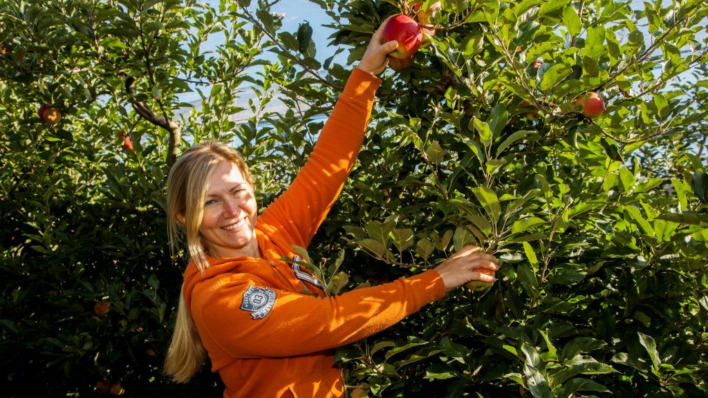 Ländle-Äpfel werden Obstliebhaber heuer erfreuen