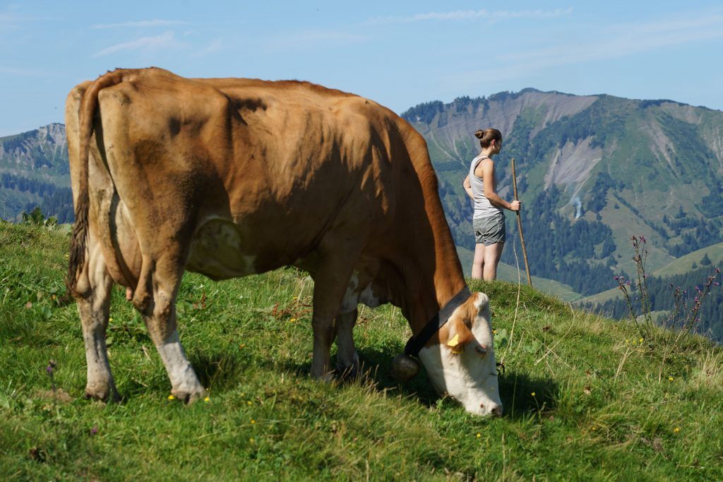 Banges Warten auf Ergebnisse