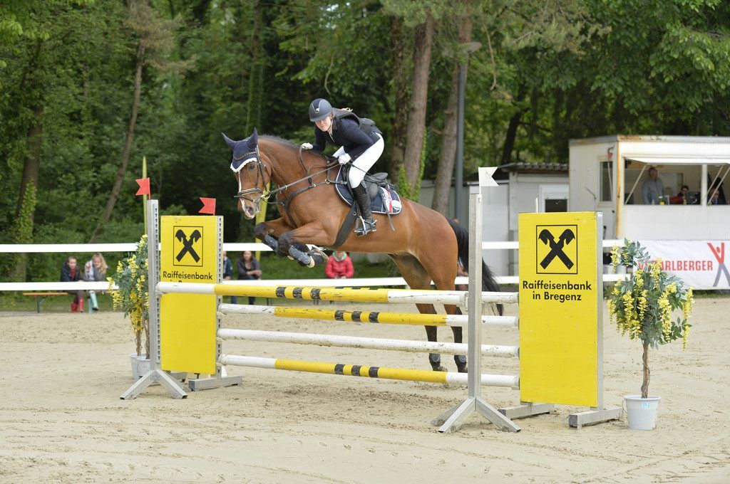 Großes Herbstspringreitturnier auf der Bregenzer Reitanlage