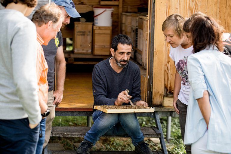 Auf großes Interesse stieß auch das Haberkorn-Bienenhaus. Haberkorn